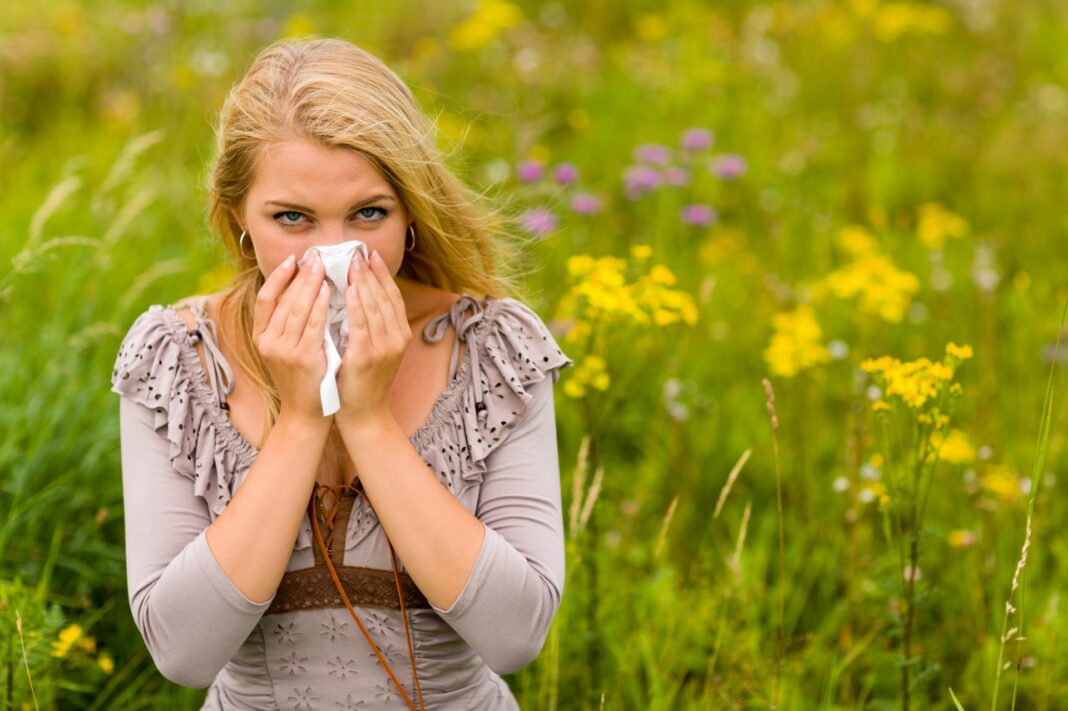 best antihistamine for hay fever