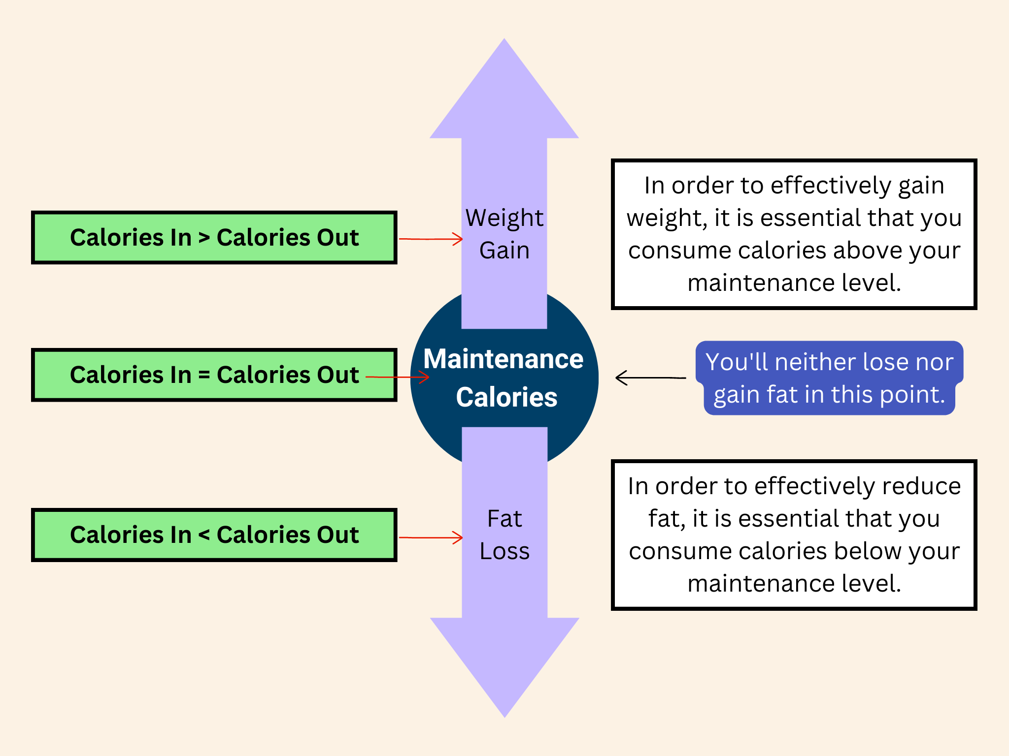Maintenance Calories