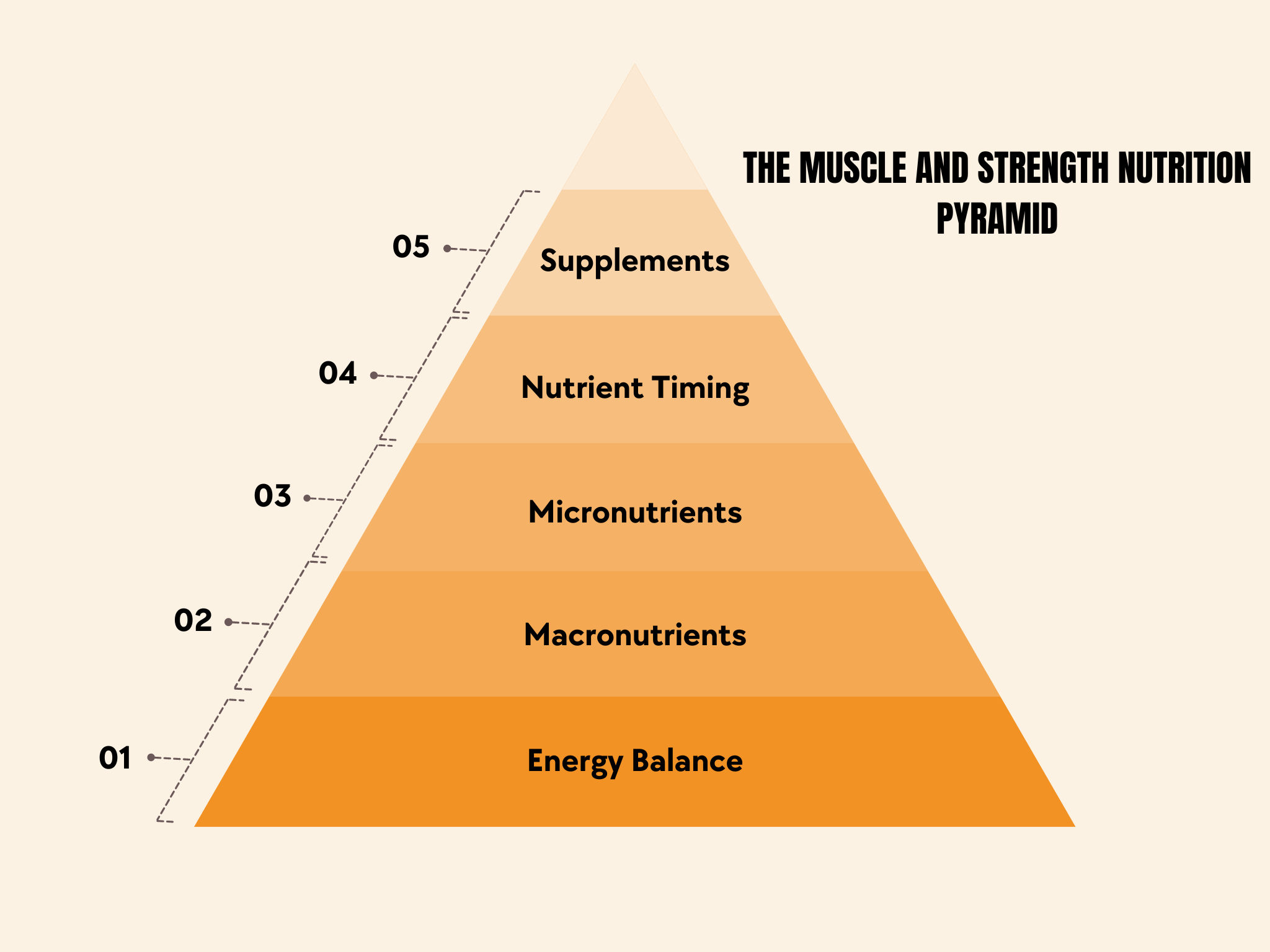 The Muscle and Strength Nutrition Pyramid
