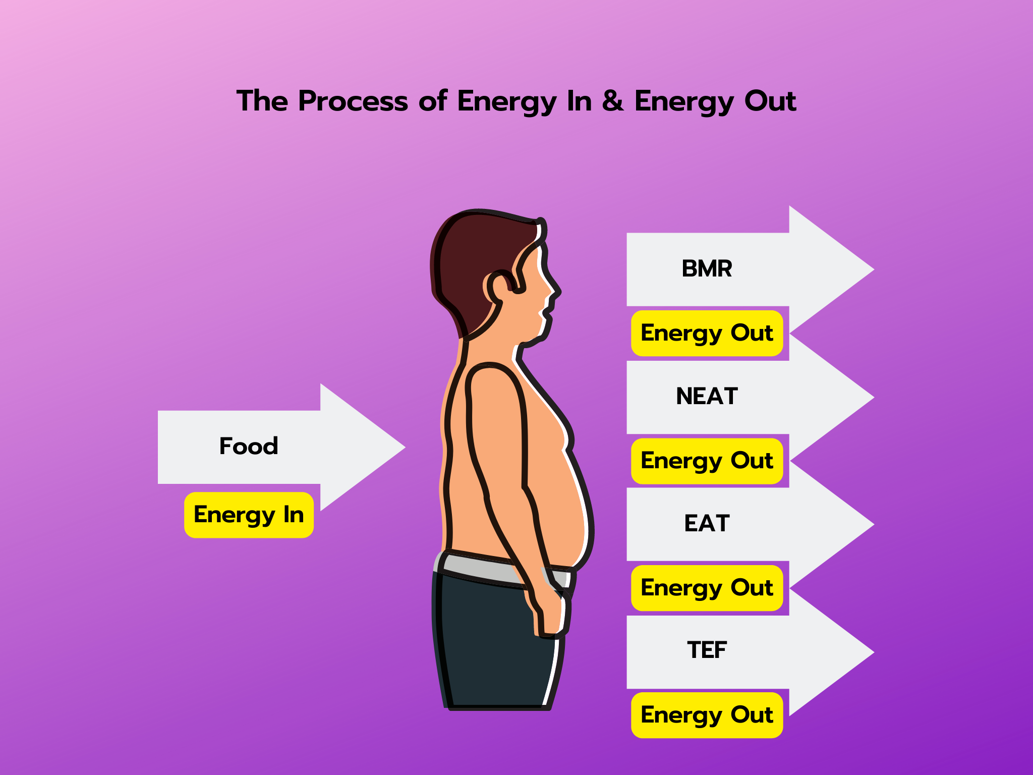 The Process of Energy In & Energy Out