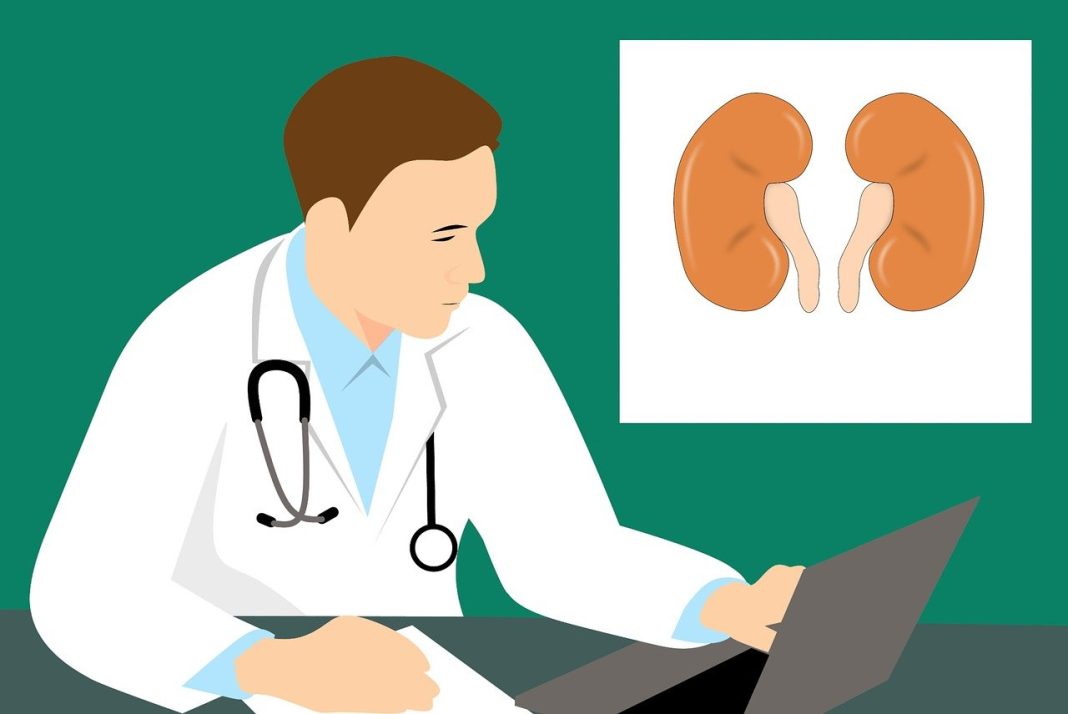 How Fast Can a Kidney Infection Kill You